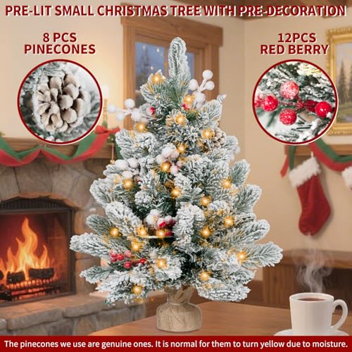 2FT Pre-lit Snow Flocked Tabletop Christmas Tree with LED Lights X324410