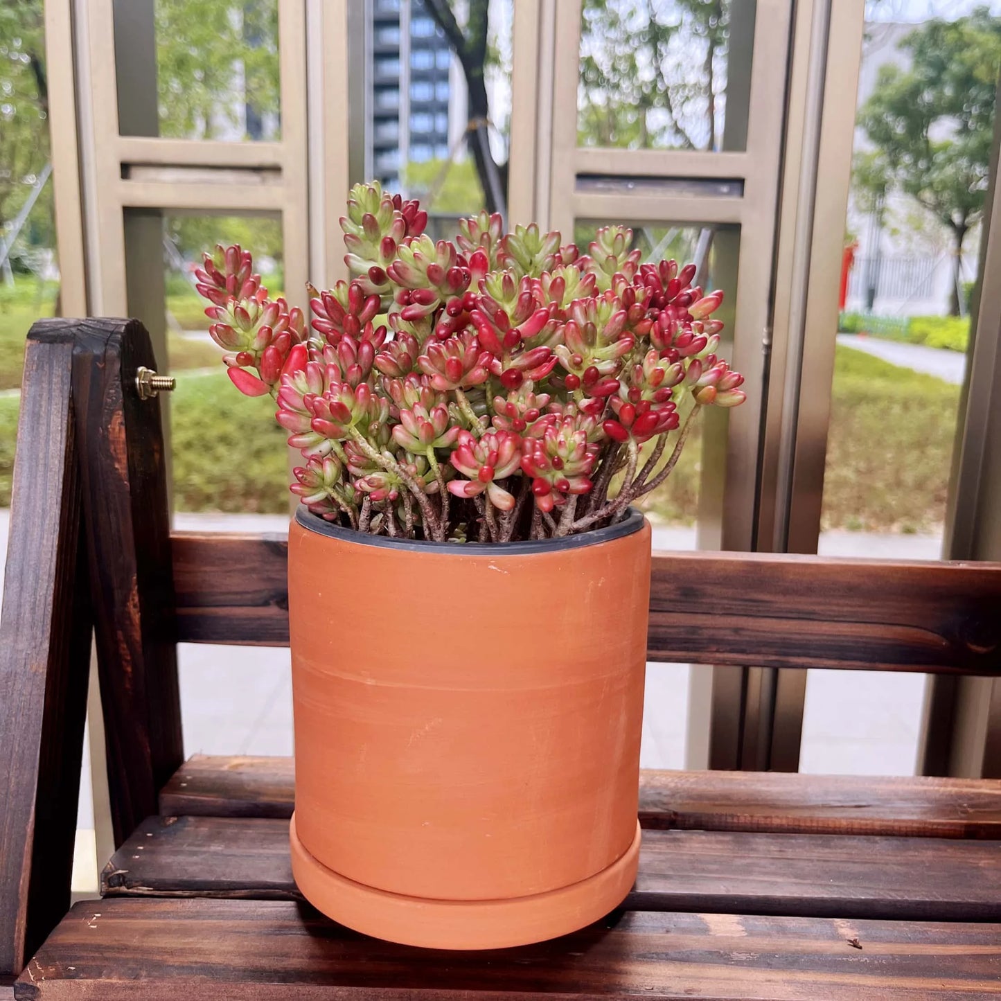 Terracotta Flower Pots with Drainage Holes, 3 Count W9403