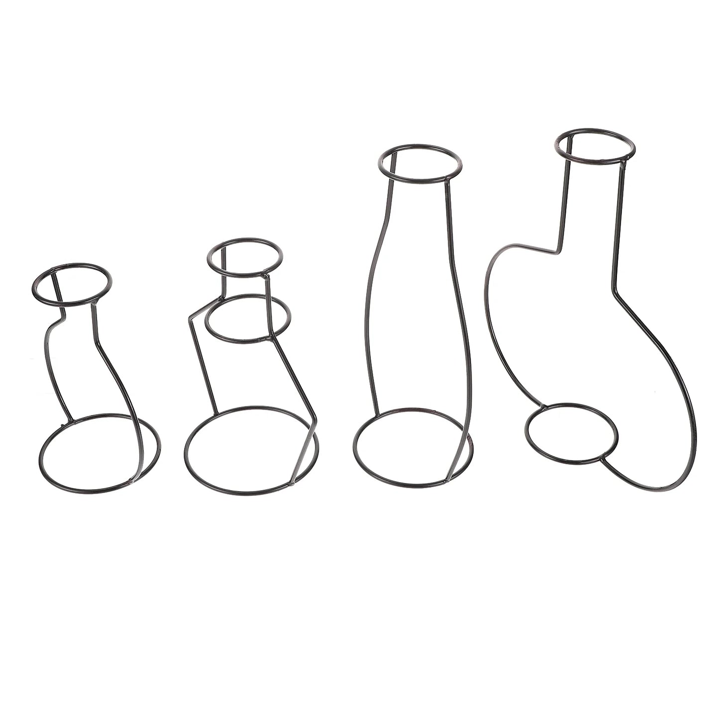 12 pcs Flower Vases with Iron Art Frame for Home Arrangement X99194