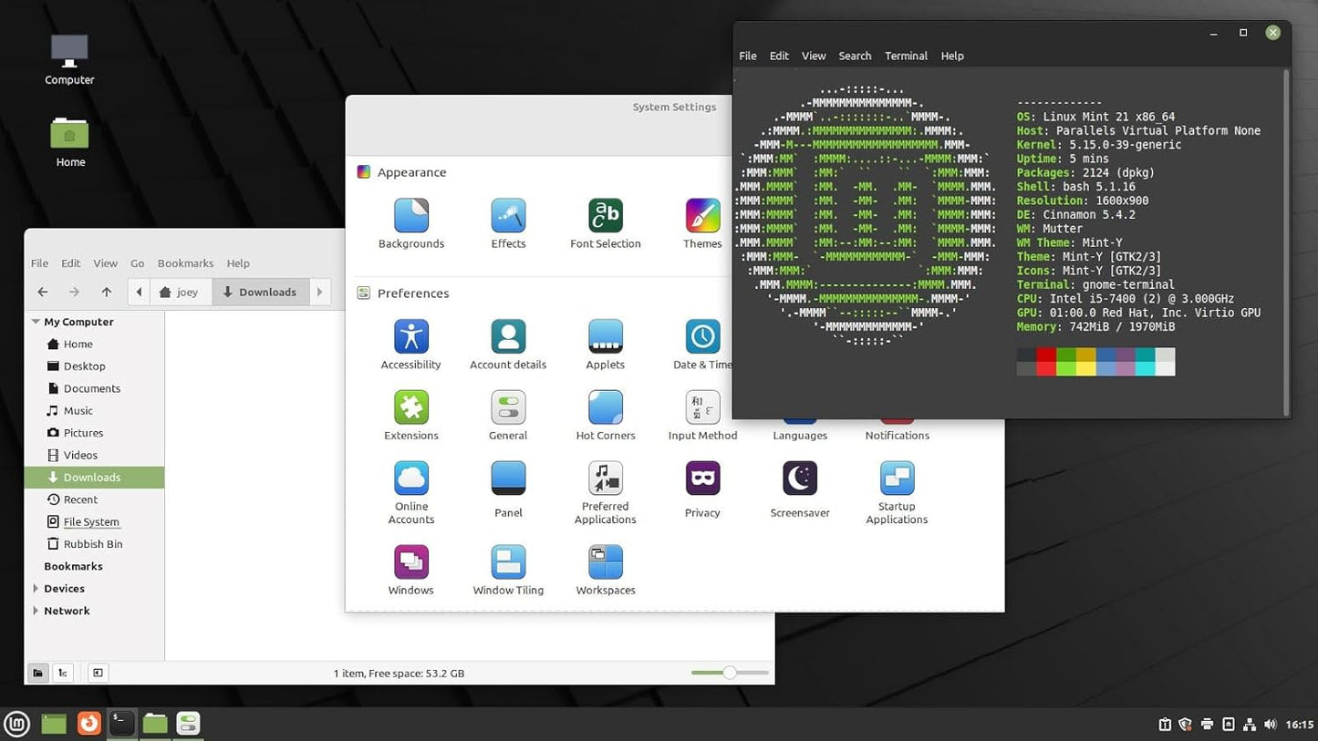 Linux Mint 21 Cinnamon USB - 64bit G222011