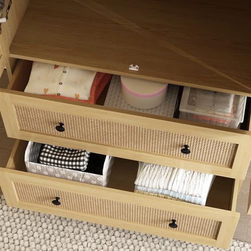 Rattan Door Wardrobe Closet with 2 Drawers and Shelves, Hanging Rod H5995