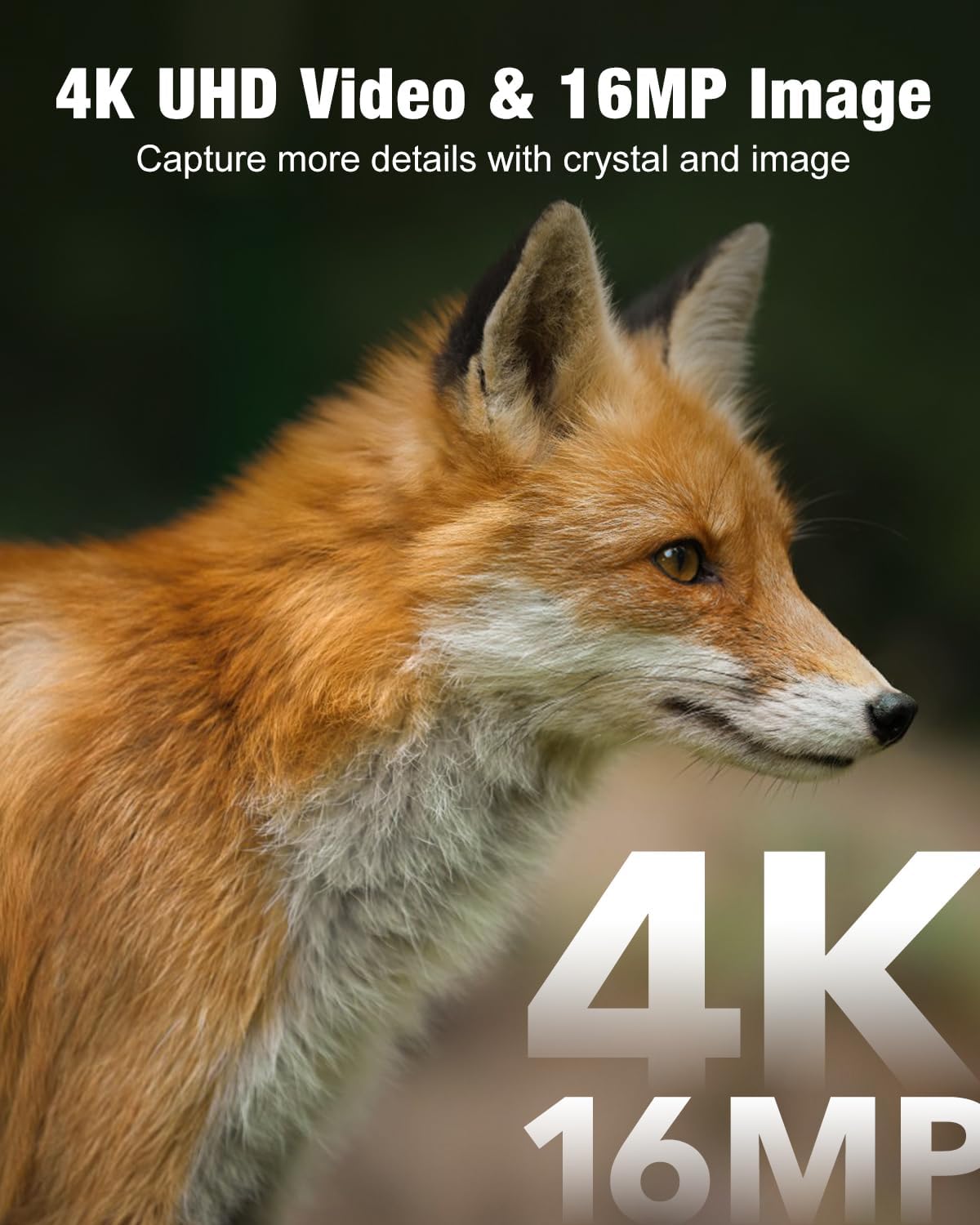 Solar Powered 4G LTE Cellular Trail Camera with 4K Live Video and App Control P87528
