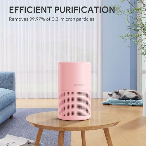 H13 True HEPA Air Purifier for Bedroom, Quiet with Night Light R447898