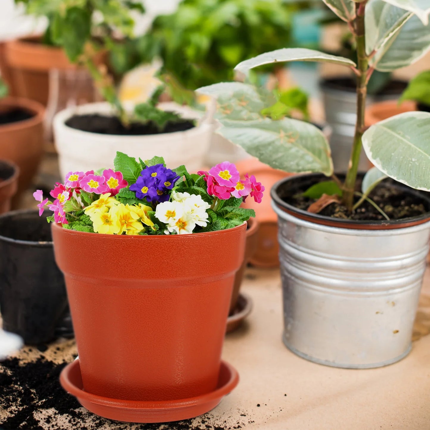 10 Sets Plastic Flower Pots for Garden Nursery Q87904