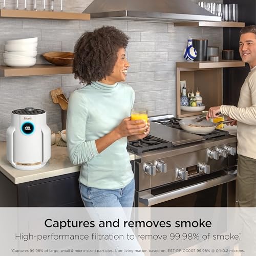 Air Purifier for Home Large Room with HEPA Filter, Covers 650 Sq. Ft L965