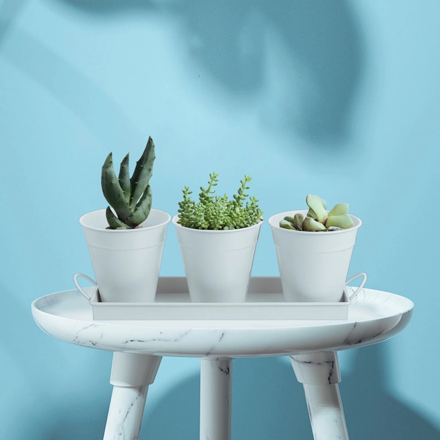 6 pcs Garden Flower Pot with Tray D976