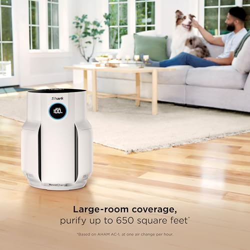 Air Purifier for Home Large Room with HEPA Filter, Covers 650 Sq. Ft L965