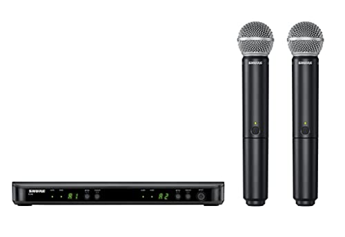 Wireless Microphone System with Dual Handheld Mics T644