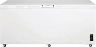 Chest Freezer N481