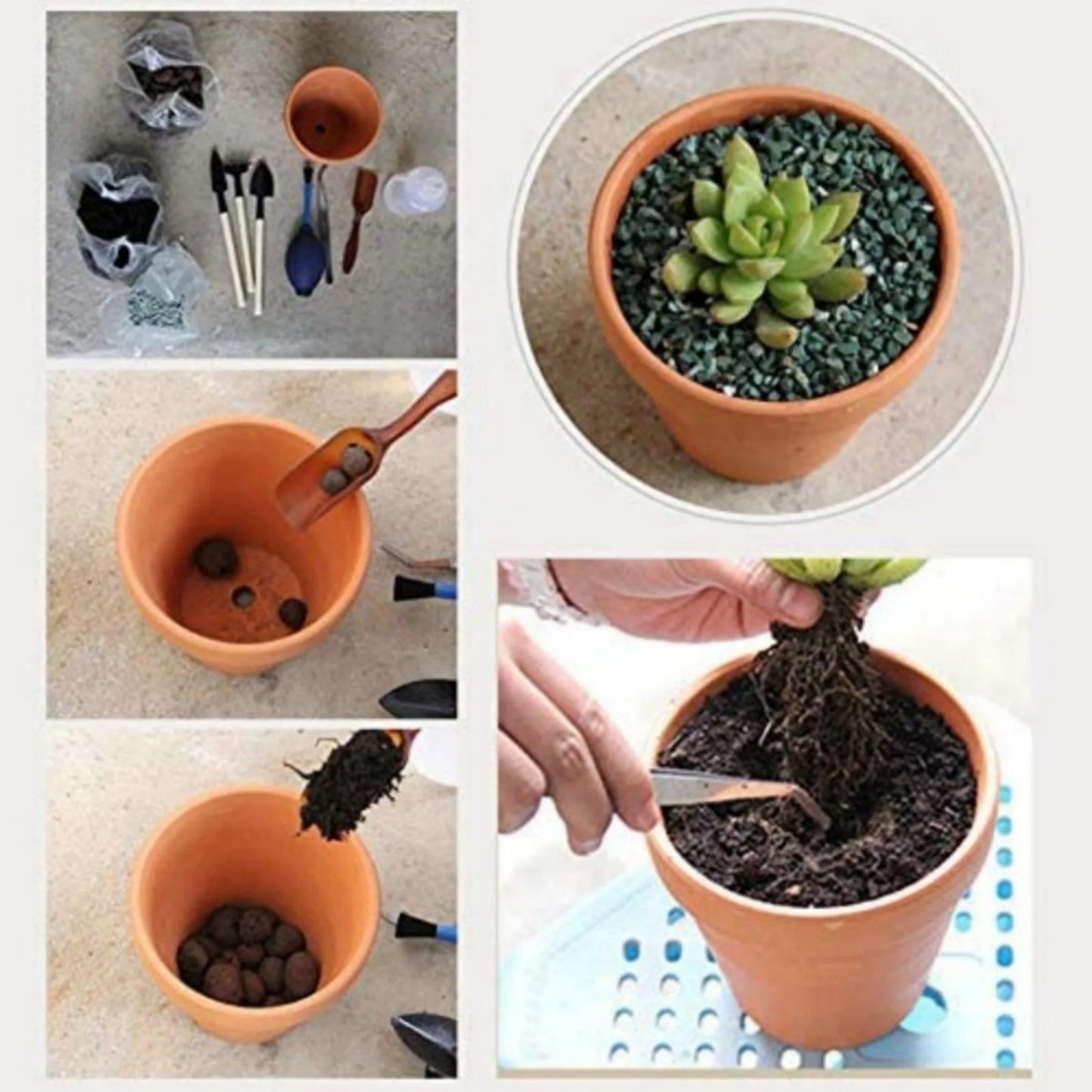 3" Terracotta Pots with Saucer, 4 Pack with Mini Plant Tools T47489