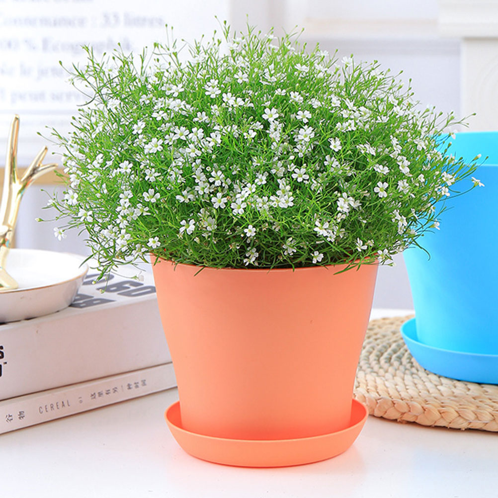 Plastic Flower Pot with Tray for Bonsai and Plants Q3110