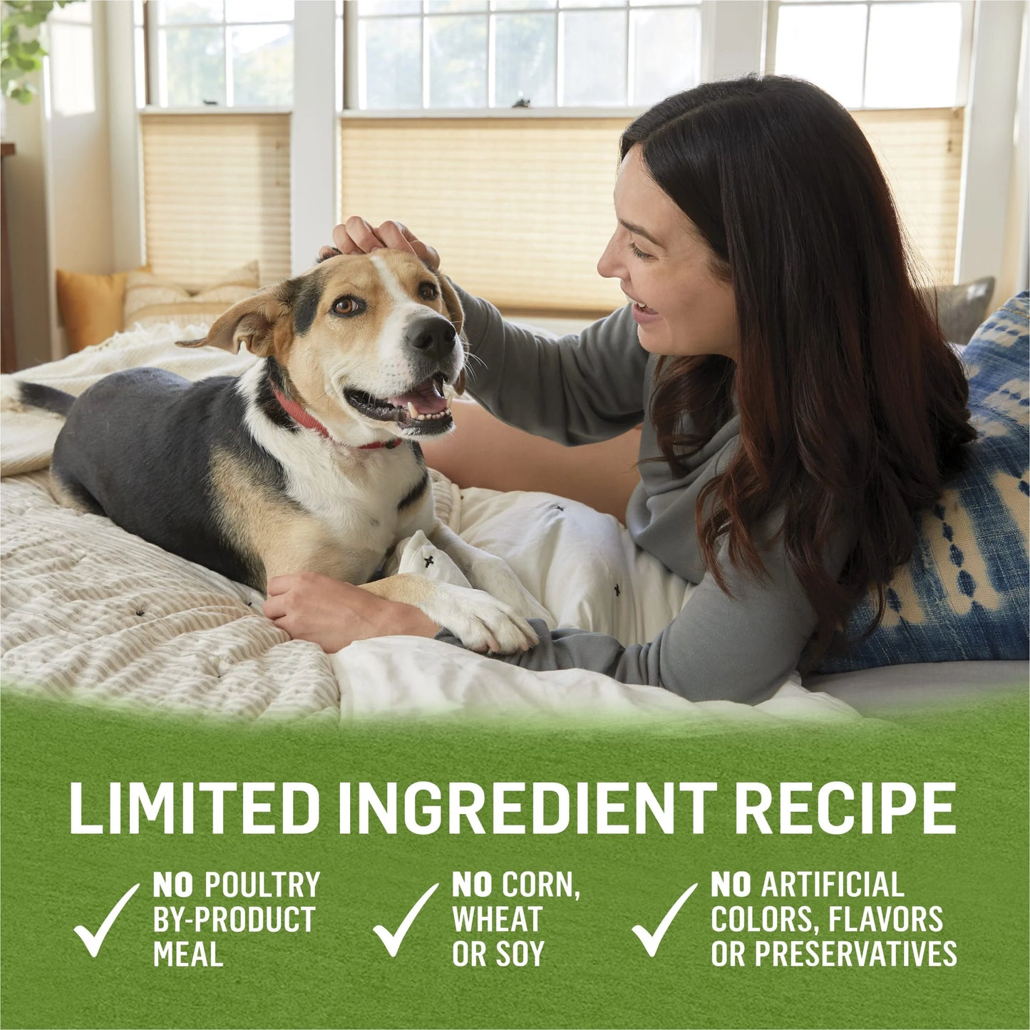 Wet Dog Food Chicken Lamb Spinach, 13 oz Cans (12 Pack) R17836
