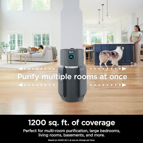 Air Purifier for Home Large Room with HEPA Filter, Covers 650 Sq. Ft L965