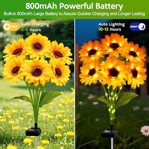 Outdoor Solar Christmas Decorations, 180 LED Candy Cane Lights, 8 Modes, Waterproof M23825
