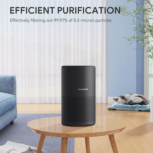H13 True HEPA Air Purifier for Bedroom, Quiet with Night Light R447898