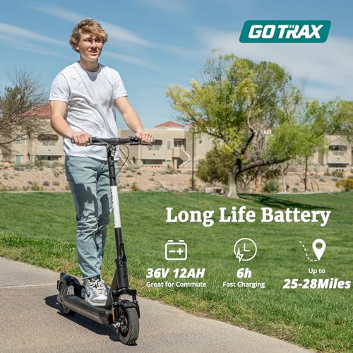 Electric Scooter for Adults, Folding Commuting with Solid Tire B2739