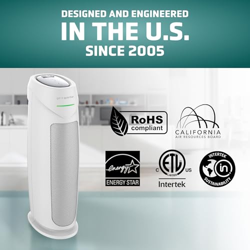 Air Purifier with HEPA Filter for Large Rooms, Removes Smoke, Pet Dander, Pollen, and Odors E469