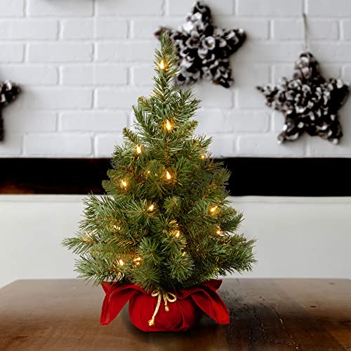24 in Pre-Lit Mini Artificial Christmas Tree with 35 Clear Lights Z659685