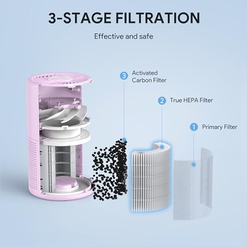 H13 True HEPA Air Purifier for Bedroom, Quiet with Night Light R447898