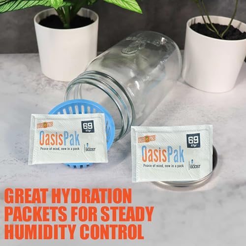Two-Way Humidity Packs for Storage, 69% RH, 67g, Pack of 4 D7241