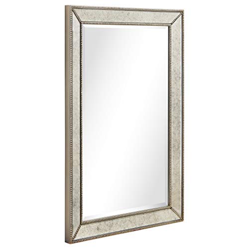 Antique Beveled Wall Mirror, 24" x 54", Ready to Hang H690609