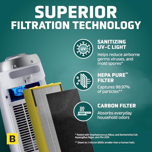 Air Purifier with HEPA Filter for Large Rooms, Removes Smoke, Pet Dander, Pollen, and Odors E469