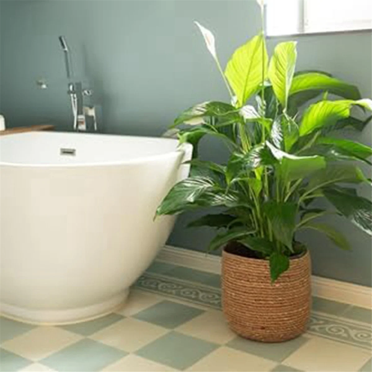 Woven Seagrass Plant Pot with Plastic Insert H39480