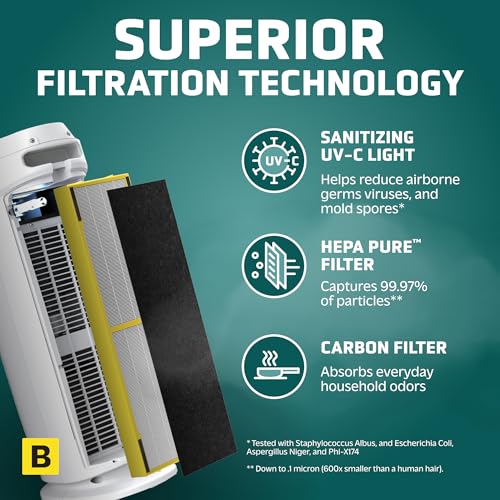Air Purifier with HEPA Filter for Large Rooms, Removes Smoke, Pet Dander, Pollen, and Odors E469