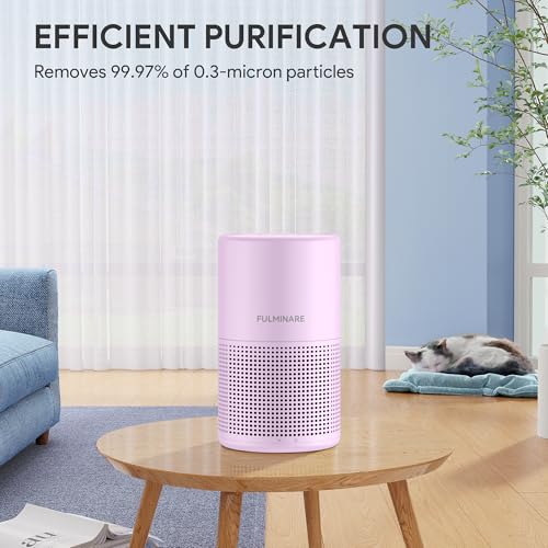 H13 True HEPA Air Purifier for Bedroom, Quiet with Night Light R447898