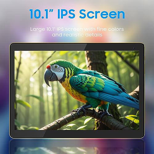 10 inch Android Tablet with 32GB Storage, 6GB RAM, Black Z5138