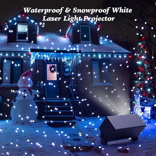 Outdoor Laser Lights Projector with Remote Control for Holiday Decor W676