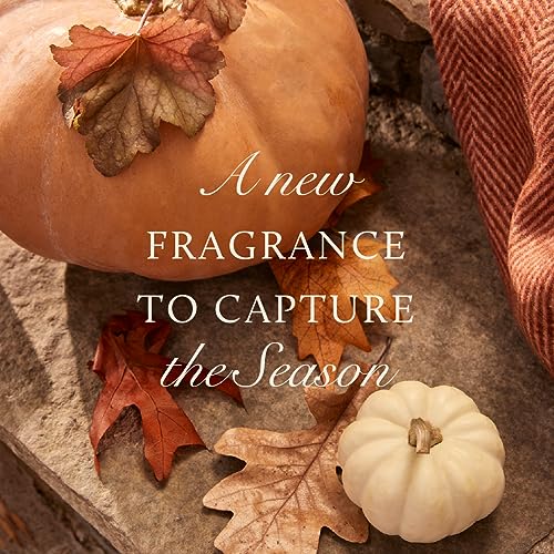 Scented Candle in Tin with Gold Lid, 6.5 oz B273500