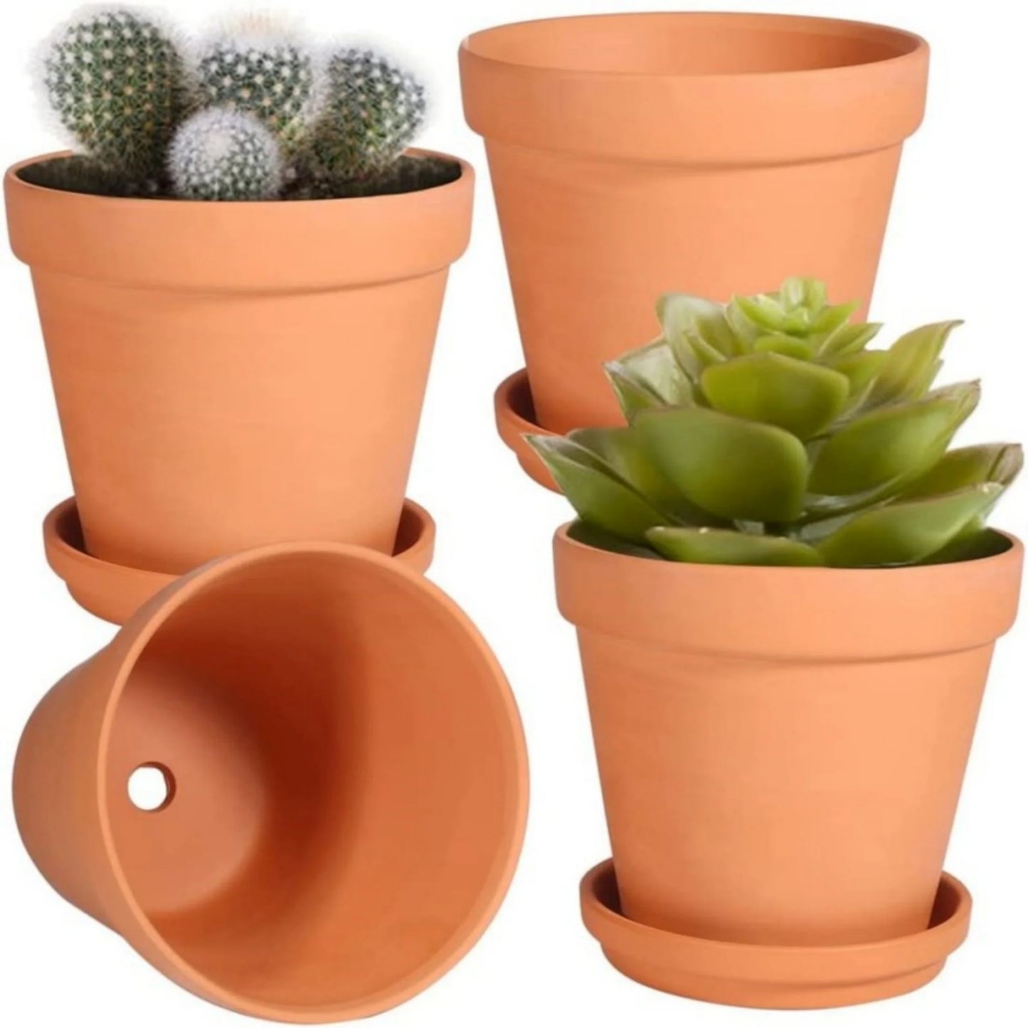 3" Terracotta Pots with Saucer, 4 Pack with Mini Plant Tools T47489