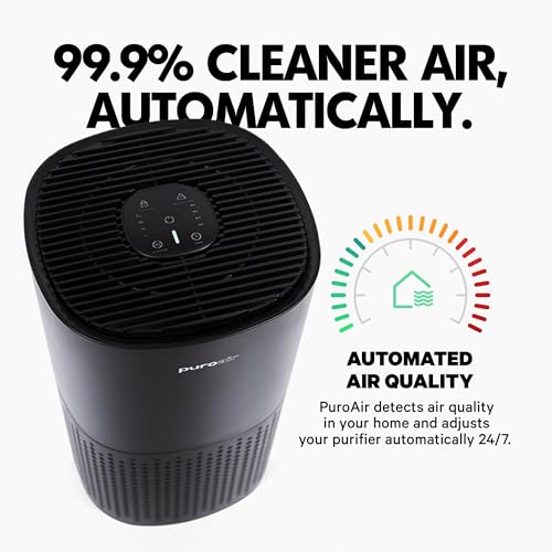 HEPA Air Purifier for Home Large Rooms, Quiet Air Filter for Bedroom A433