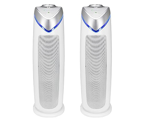 Air Purifier with HEPA Filter for Large Rooms, Removes Smoke, Pet Dander, Pollen, and Odors E469