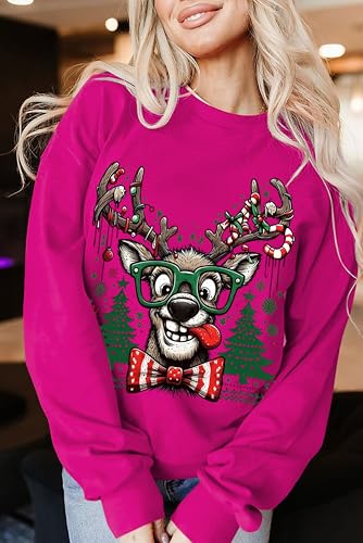 Funny Reindeer Graphic Sweatshirt Oversized Christmas Pullover J1348