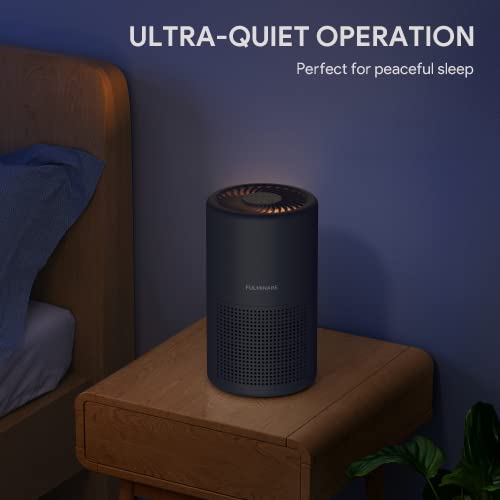 H13 True HEPA Air Purifier for Bedroom, Quiet with Night Light R447898