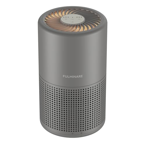 H13 True HEPA Air Purifier for Bedroom, Quiet with Night Light R447898