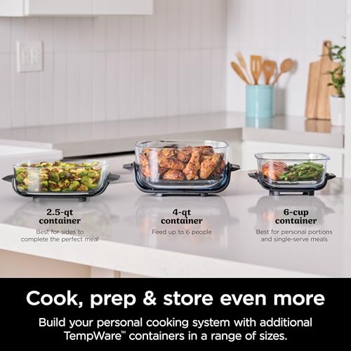 Air Fryer with Glass Containers, 4 QT & 6 Cup, Dishwasher Safe Y888
