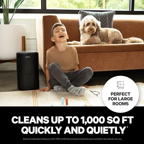 HEPA Air Purifier for Home Large Rooms, Quiet Air Filter for Bedroom A433