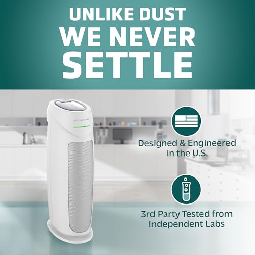 Air Purifier with HEPA Filter for Large Rooms, Removes Smoke, Pet Dander, Pollen, and Odors E469