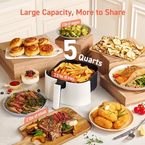 Air Fryer 9-in-1, Compact 5QT, Nonstick Dishwasher-Safe Basket, Gray R3973