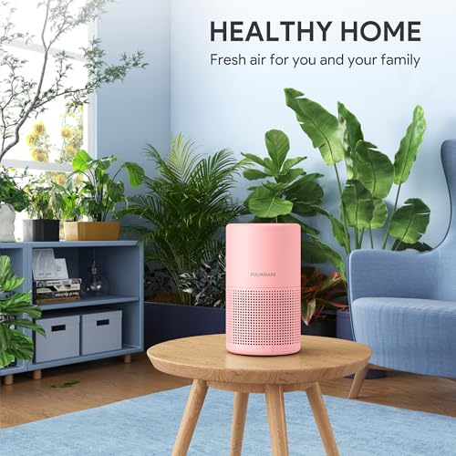 H13 True HEPA Air Purifier for Bedroom, Quiet with Night Light R447898