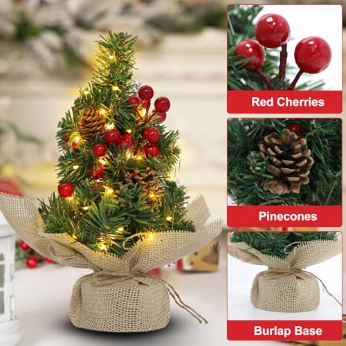 Mini Tabletop Christmas Tree with Timer Lights, Pinecones and Red Berries E794021