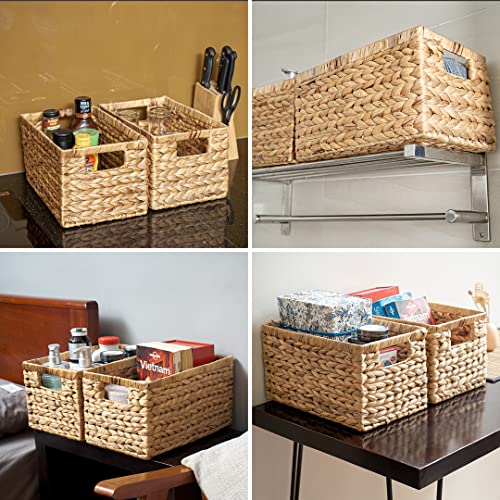 Natural Water Hyacinth Woven Storage Baskets with Handles, Set of 6 C618
