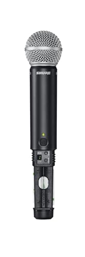 Wireless Microphone System with Dual Handheld Mics T644