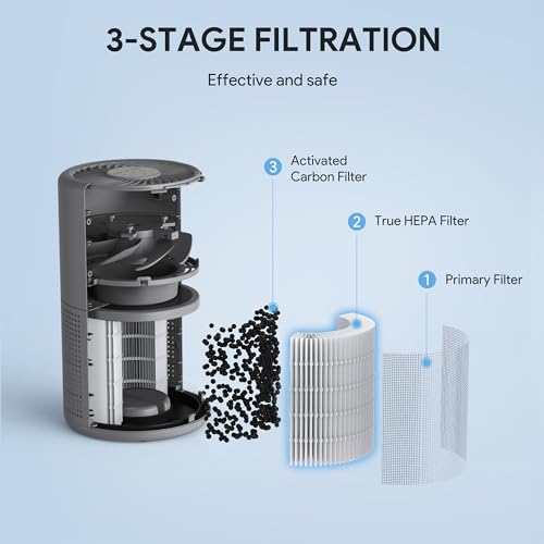 H13 True HEPA Air Purifier for Bedroom, Quiet with Night Light R447898
