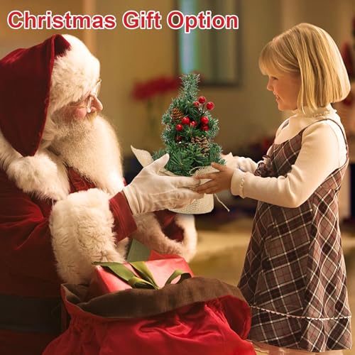 Mini Tabletop Christmas Tree with Timer Lights, Pinecones and Red Berries E794021