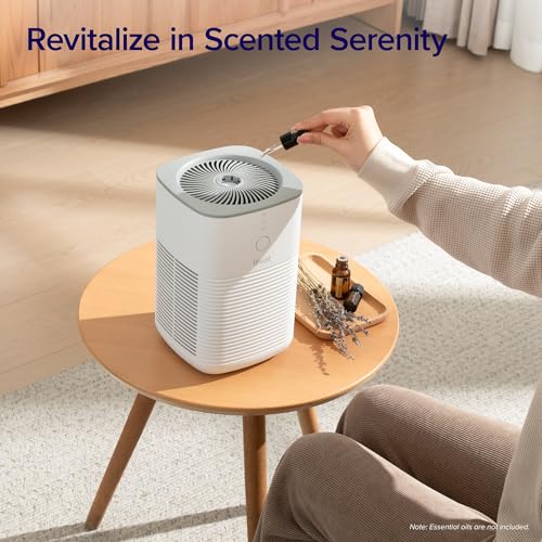 Air Purifier for Bedroom Home, 3-in-1 Filter Cleaner with Fragrance Sponge for Better Sleep, Portable S3072