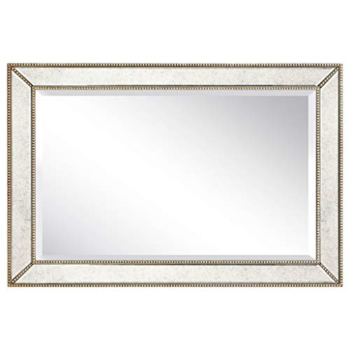 Antique Beveled Wall Mirror, 24" x 54", Ready to Hang H690609
